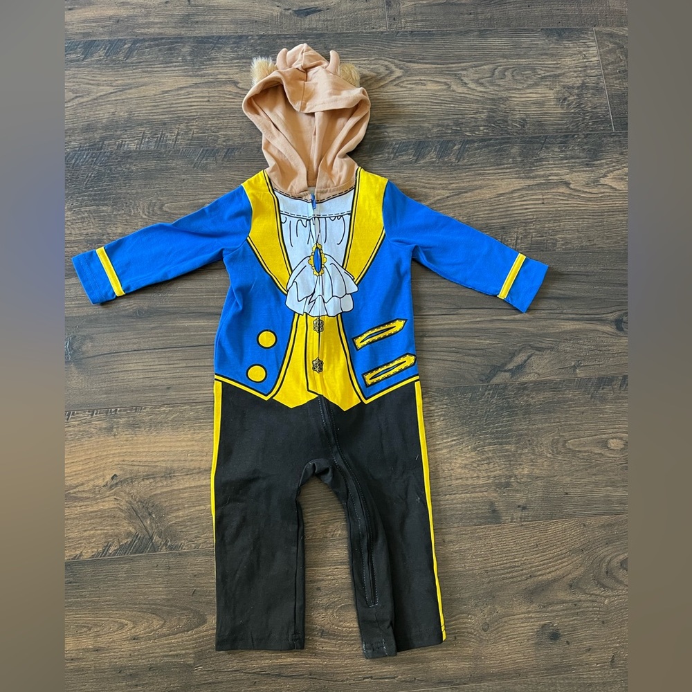 Disney Beast Costume